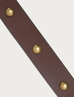 Lucky Brand dome studded leather belt dark brown*WOMEN Belts