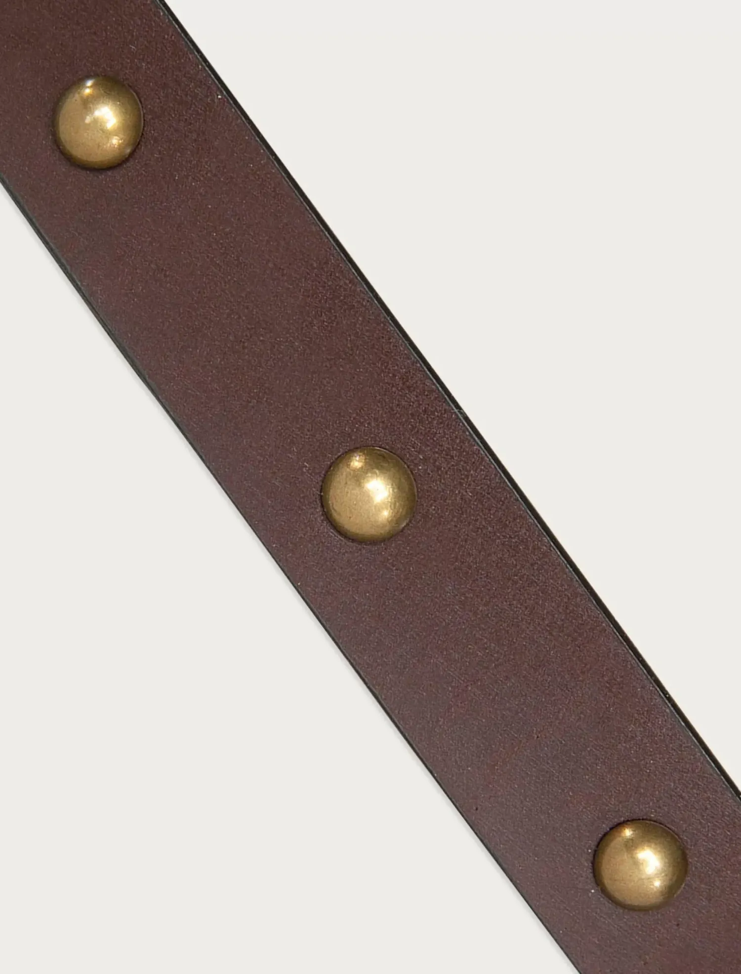 Lucky Brand dome studded leather belt dark brown*WOMEN Belts