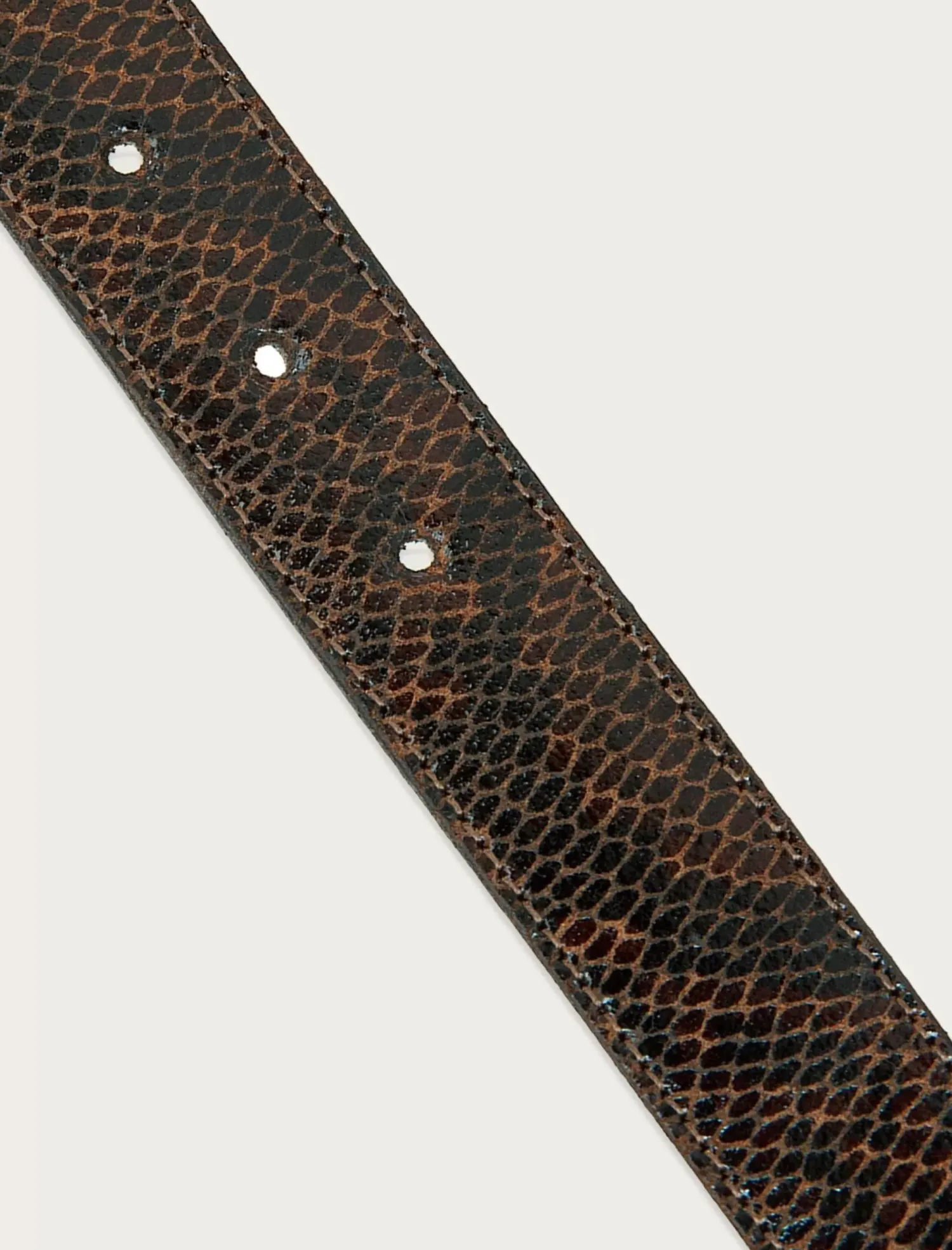 Lucky Brand double ring snakeskin belt dark brown*WOMEN Belts